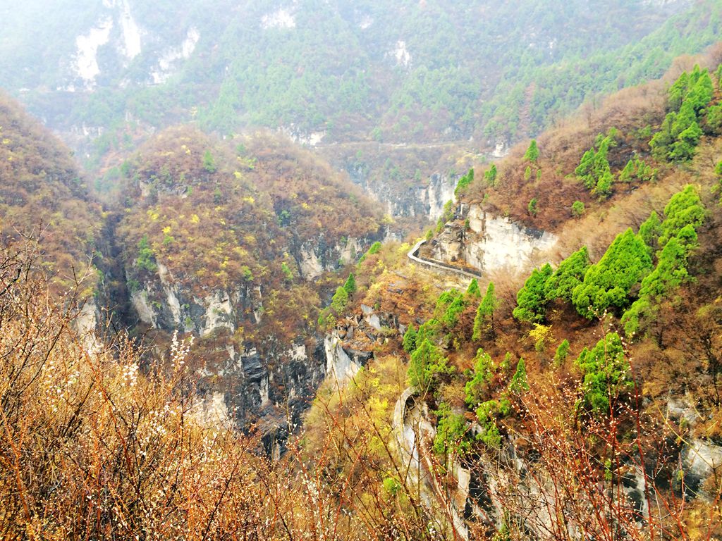 img_0151_副本.jpg
