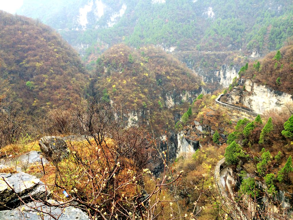 img_0156_副本.jpg