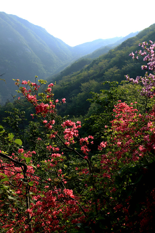 img_5358_副本.jpg