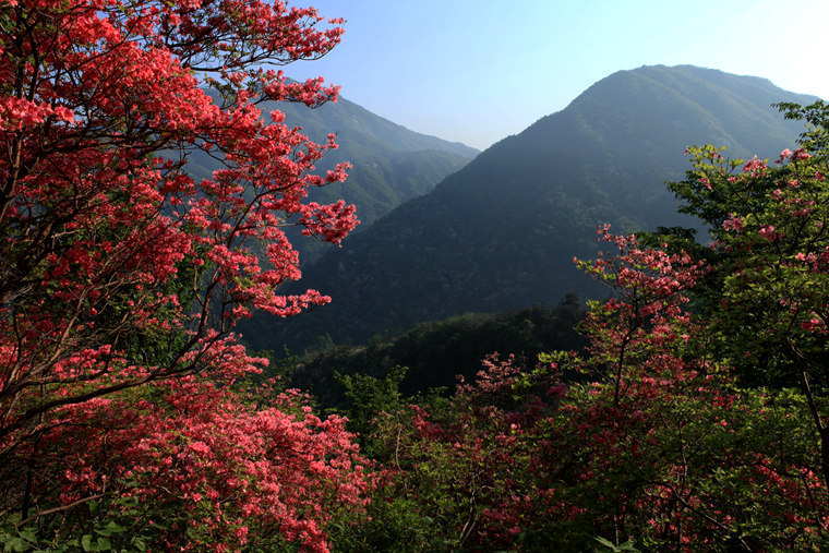 img_5367_副本.jpg