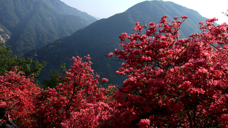 img_5430_副本.jpg