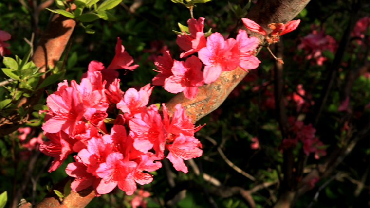 img_5431_副本.jpg