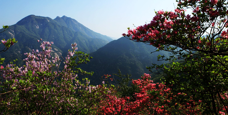 img_5435_副本.jpg