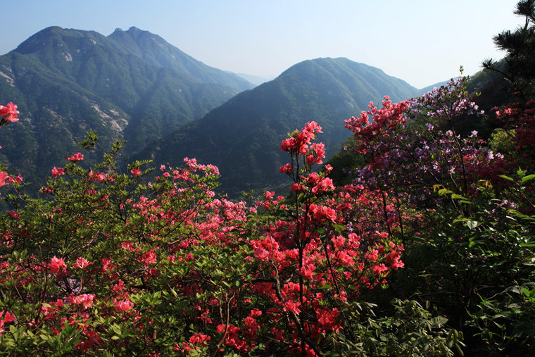 img_5454_副本.jpg