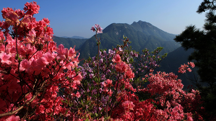 img_5464_副本.jpg