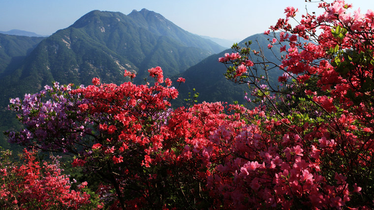 img_5468_副本.jpg