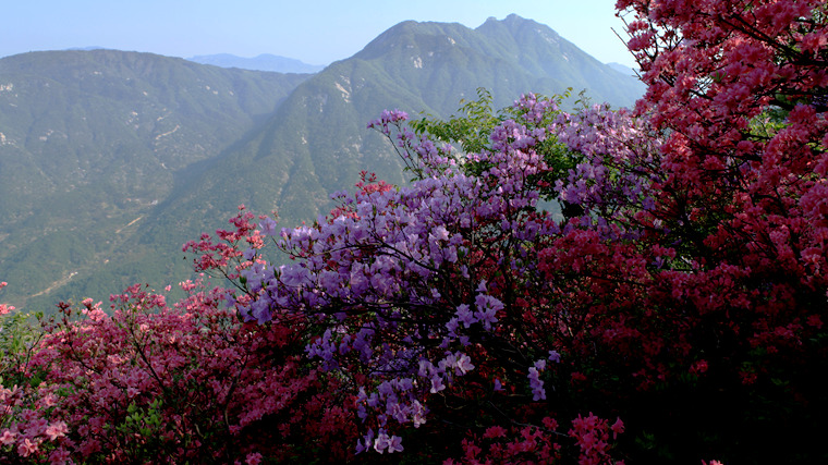 img_5484_副本.jpg