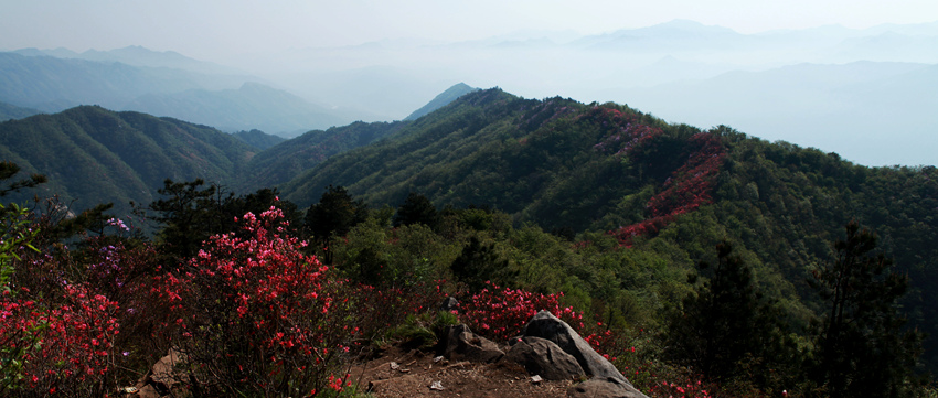 img_5526_副本.jpg