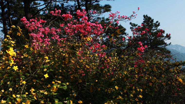 img_5537_副本.jpg