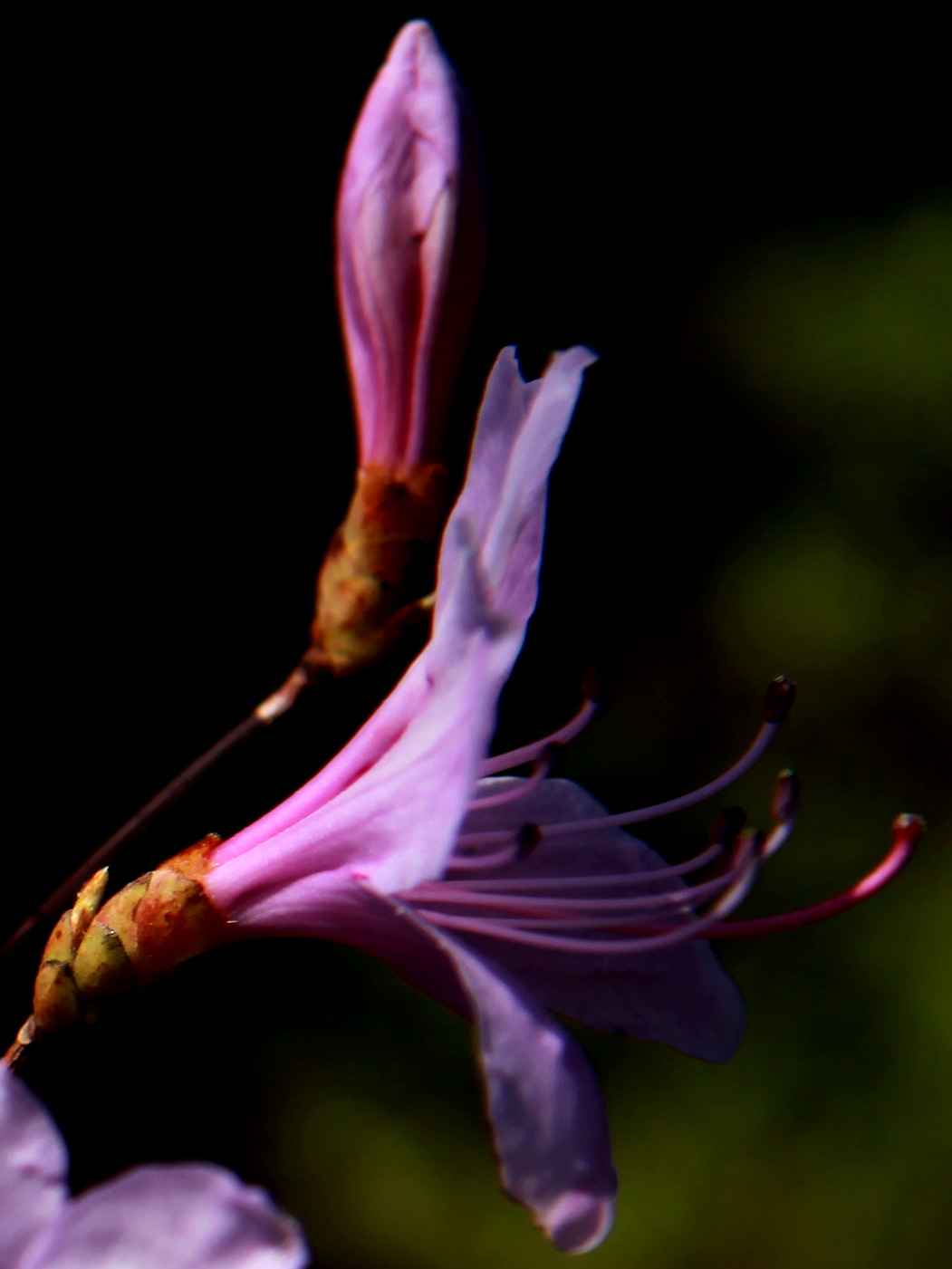 img_5589_副本.jpg