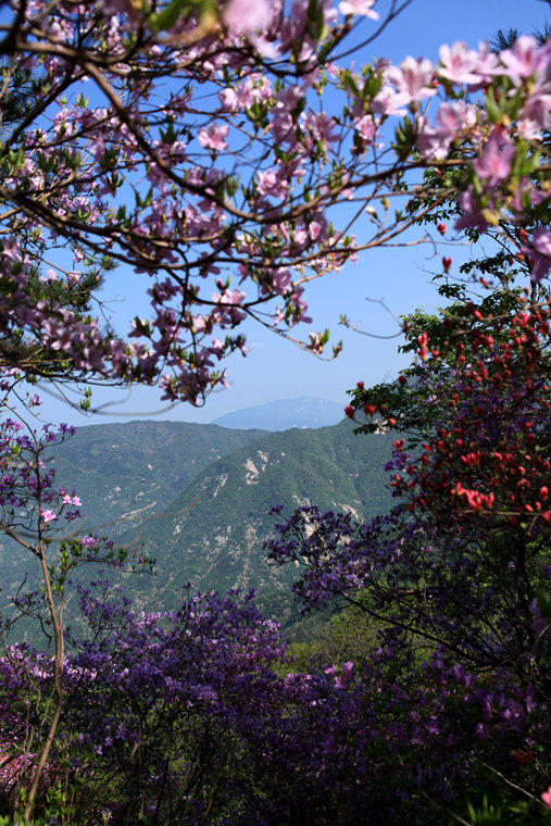 img_5596_副本.jpg