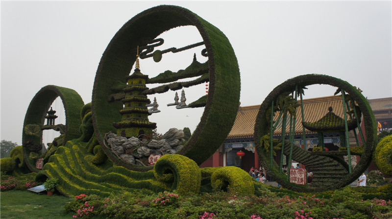 dsc07812.jpg