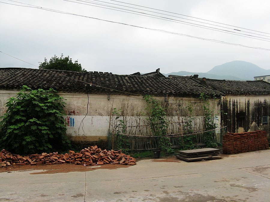 neo_img_img_7530.jpg