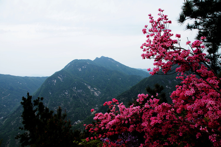 img_8872_副本.jpg