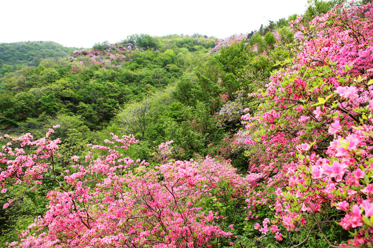 img_8850_副本.jpg