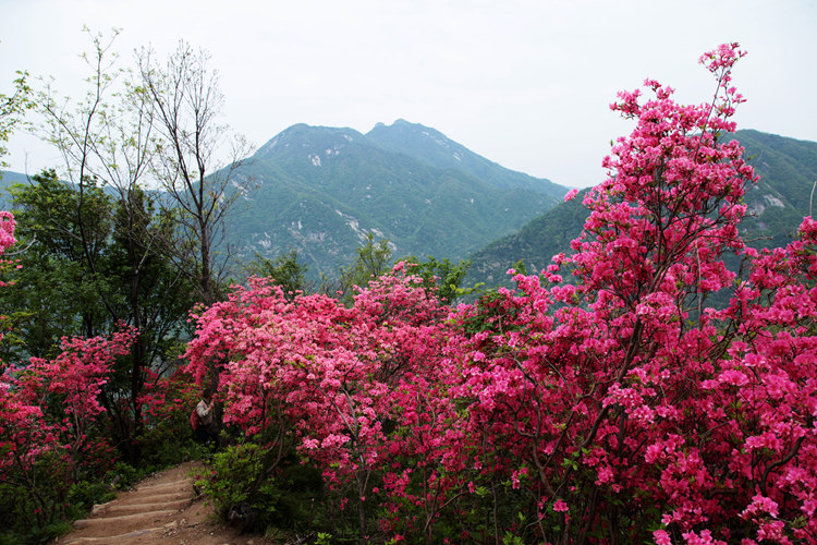 img_8852_副本.jpg