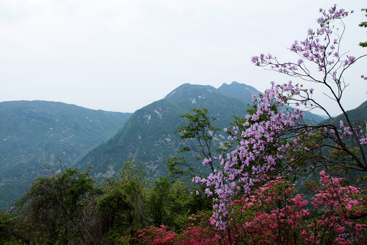 img_8854_副本.jpg