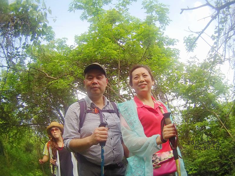 file0013.jpg