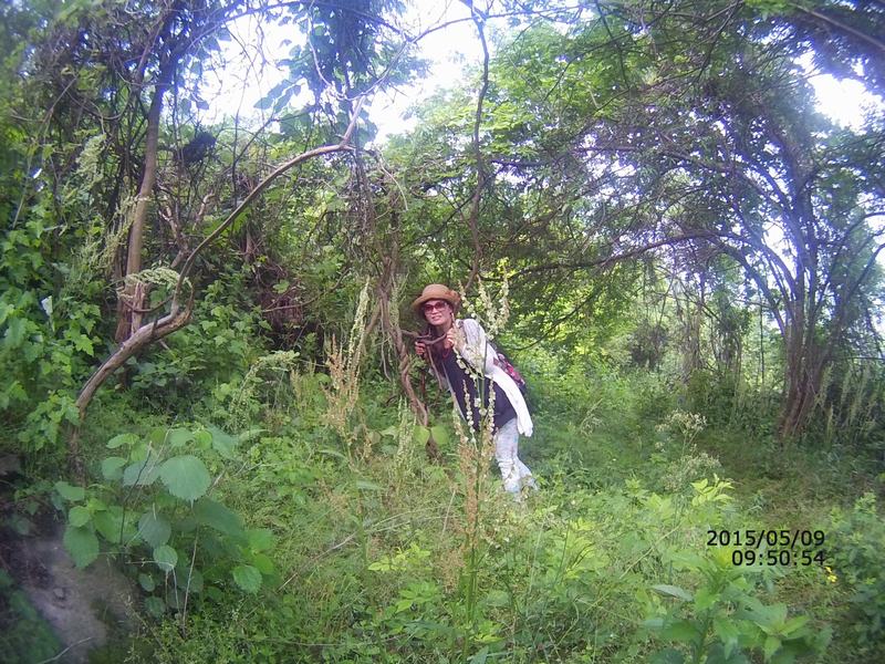 file0014.jpg
