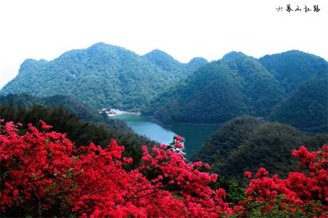 dpp_0062(1)1.jpg