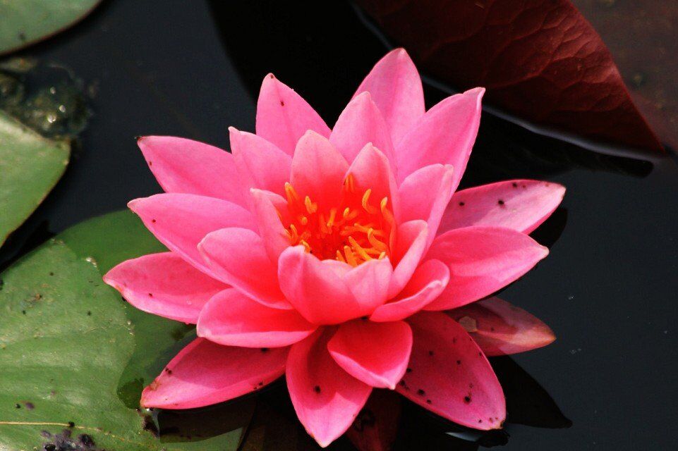 qqͼƬ20150512213903.jpg