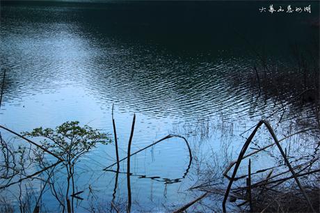 dpp_00772.jpg