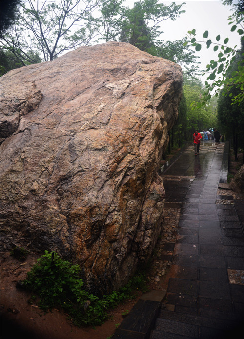 dsc_3864_副本.jpg