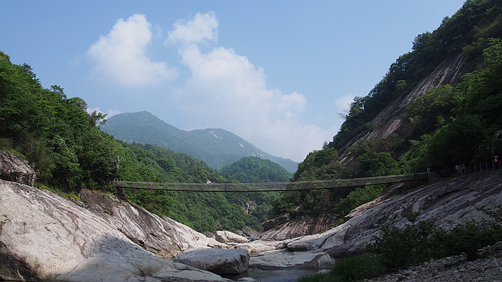 p5090164_.jpg