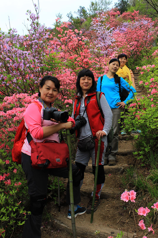 英山天马寨赏杜鹃 460_副本.jpg