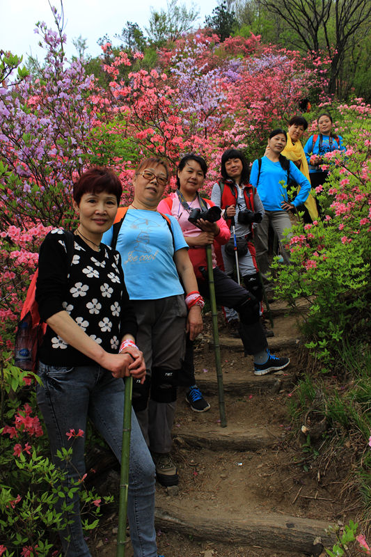 英山天马寨赏杜鹃 461_副本.jpg