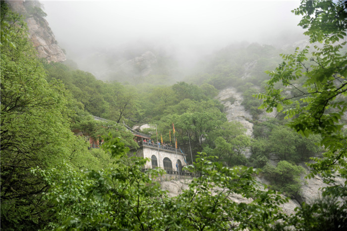 dsc_3968_副本.jpg