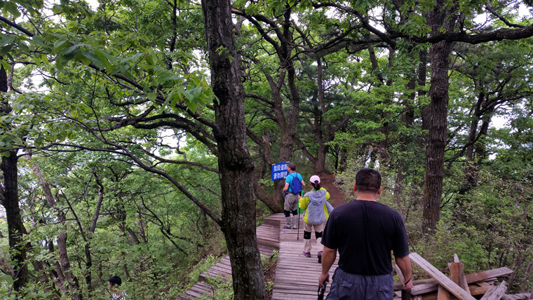 20150509_104307_.jpg