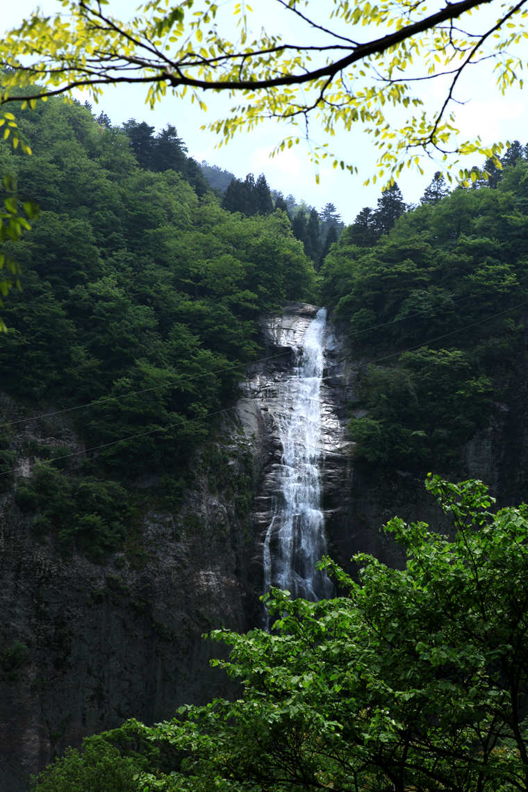 img_6183_.jpg