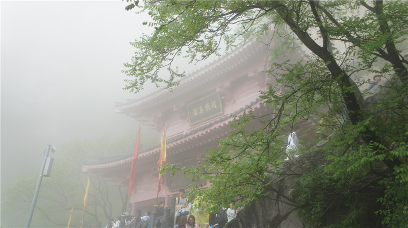 dsc08226.jpg