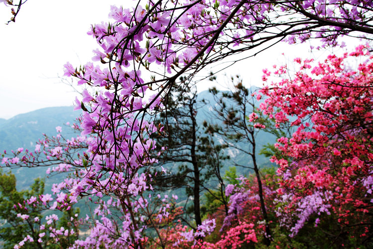 img_8883_副本.jpg