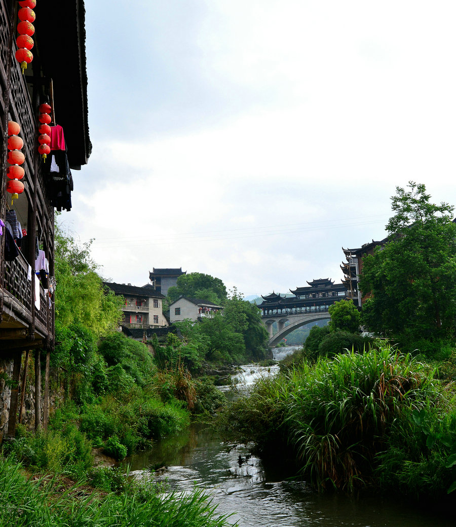 dsc_7318ay.jpg
