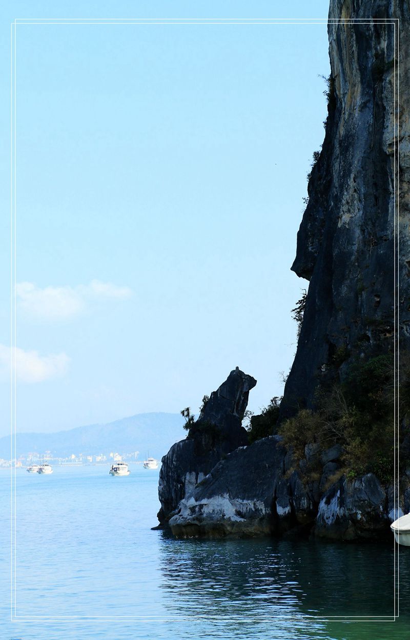 img_6815__.jpg