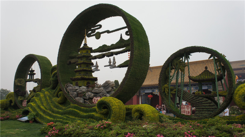 dsc07813.jpg