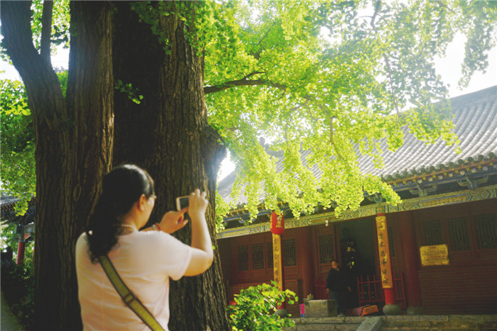 dsc_4144_副本.jpg