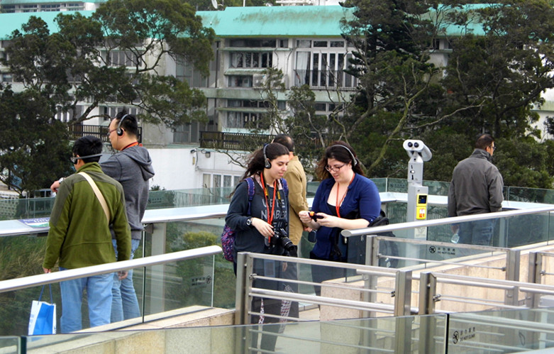 dsci3174.jpg