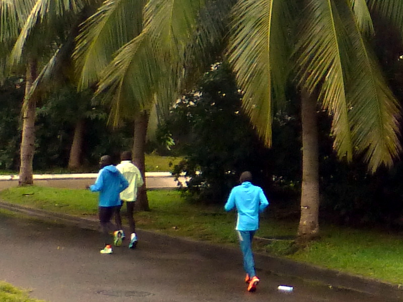p1300815.jpg