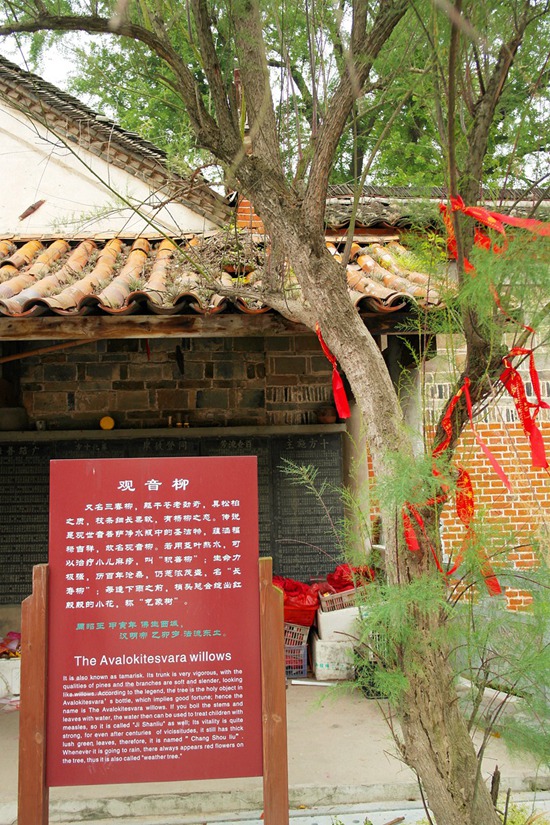 sam_0617_副本.jpg