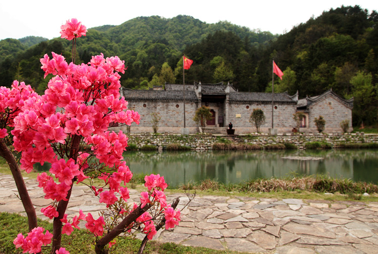 img_8684_副本.jpg