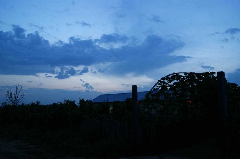 dsc04486.jpg