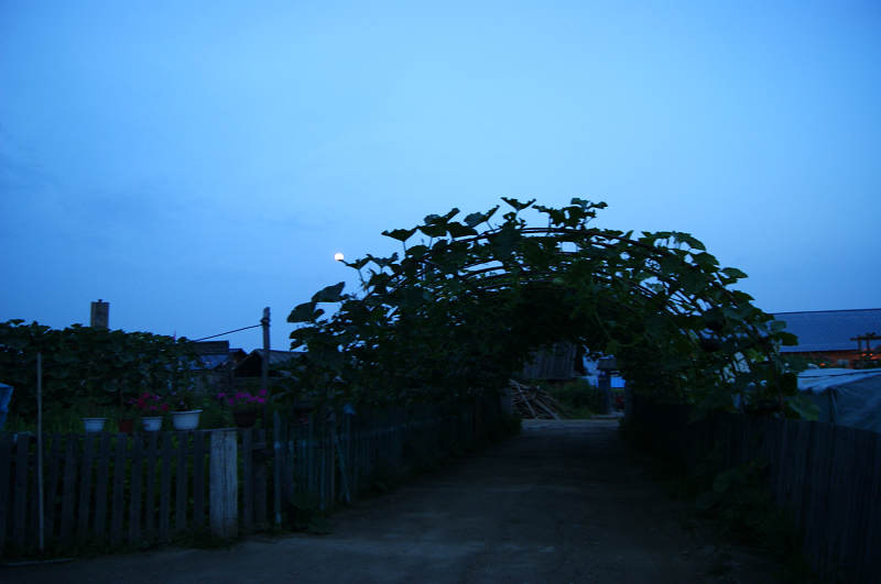 dsc04483.jpg