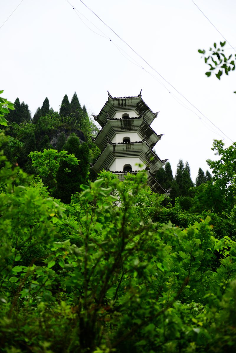 重庆20150506 135_副本.jpg