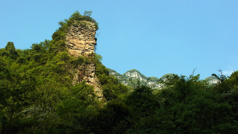 sam_9502_副本.jpg