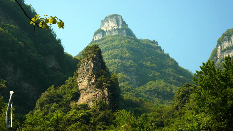 sam_9529_副本.jpg