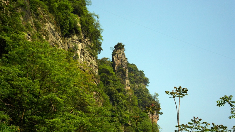sam_9558_副本.jpg