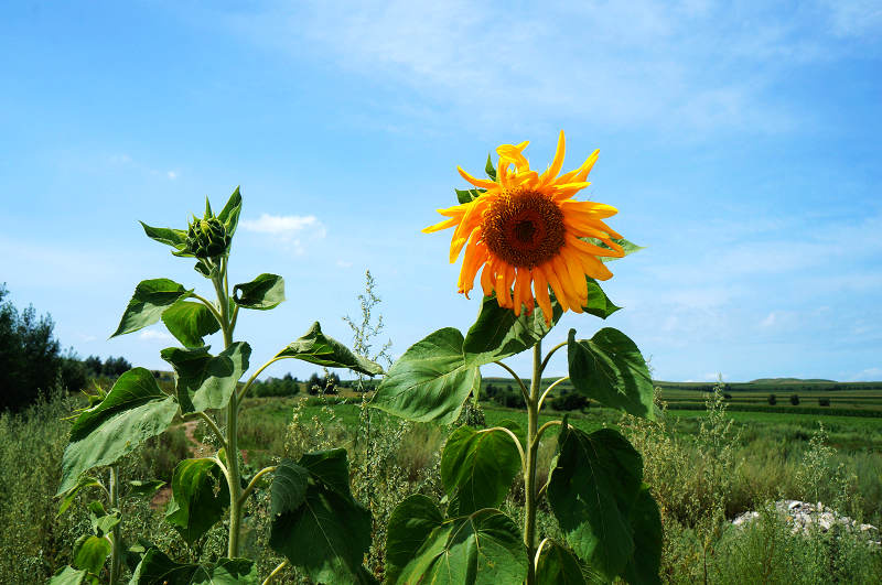 dsc06315.jpg